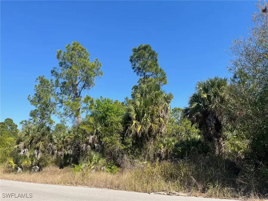 Dove Tree Street, Naples, FL 34117 - #3