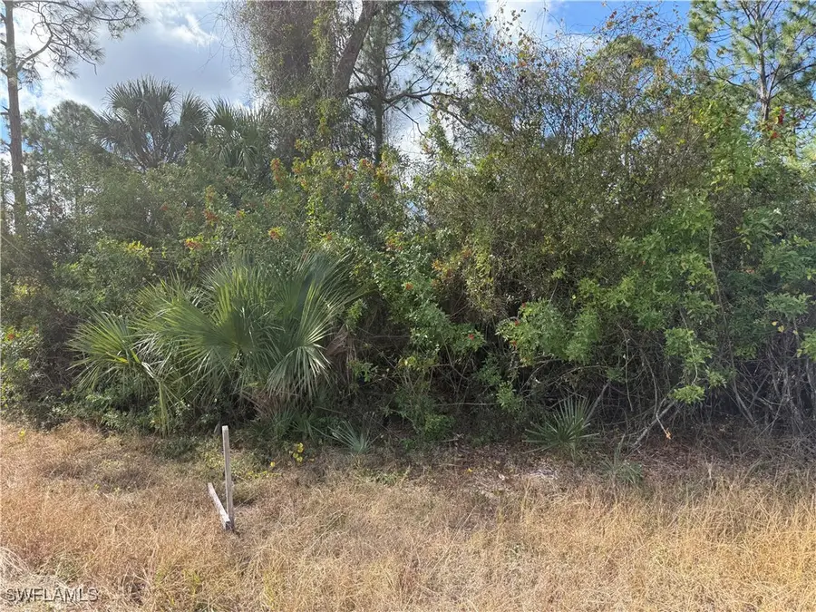 County St E, Lehigh Acres, FL 33974 - #3