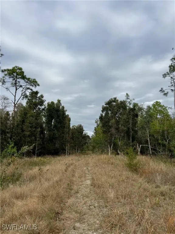 24265 Rocky Road, Bonita Springs, FL 34135 - #2