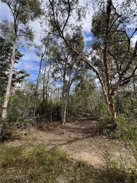 24265 Rocky Road, Bonita Springs, FL 34135 - #3