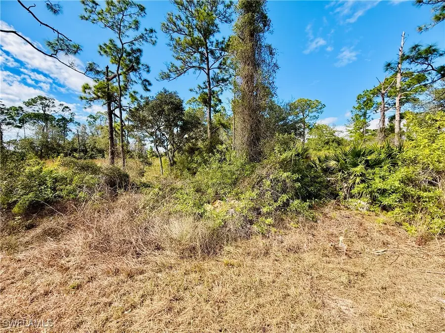 2007 Truman Avenue, Alva, FL 33920 - Image #2