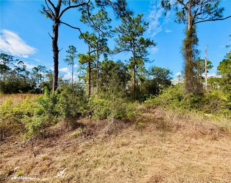 2007 Truman Avenue, Alva, FL 33920 - Image #3