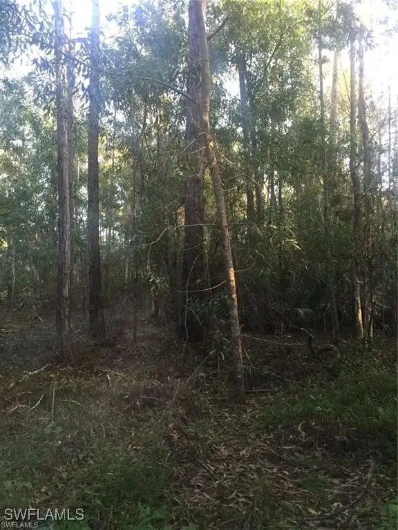 xxxx 28th Avenue Se, Naples, FL 34117 - #2