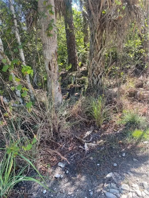 36th Avenue Se, Naples, FL 34117 - #3