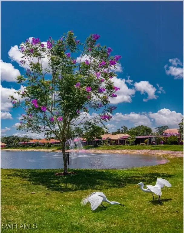 9871 Rookery Circle, Estero, FL 33928 - Image #3