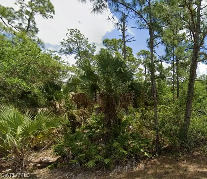 720 Louis Avenue, Lehigh Acres, FL 33972 - #1