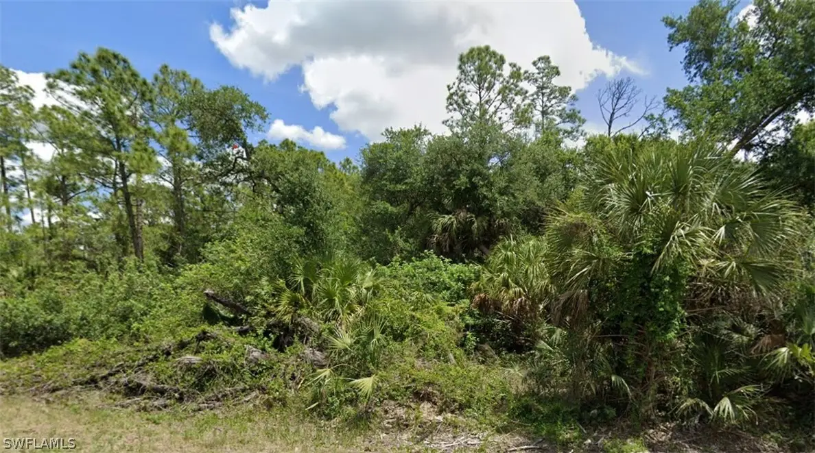 718 Louis Avenue, Lehigh Acres, FL 33972 - #1