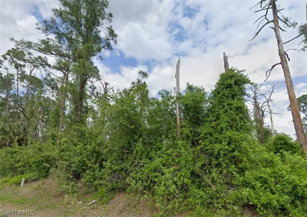 704 Wellington Avenue, Lehigh Acres, FL 33972 - #1