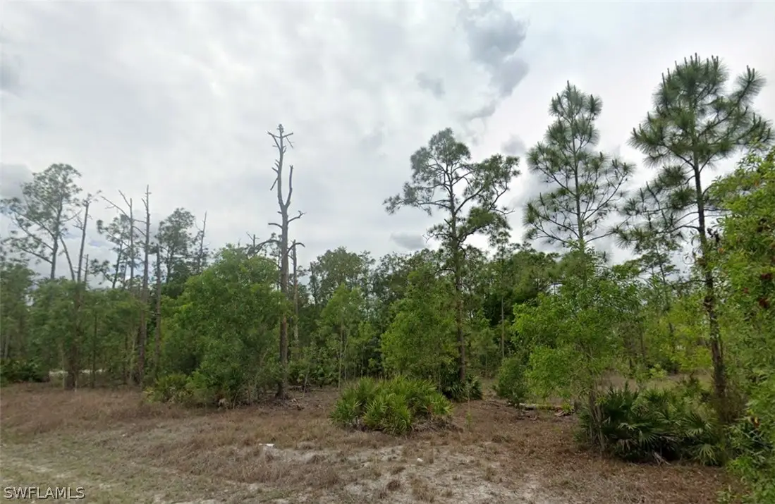 203 Wellington Avenue, Lehigh Acres, FL 33936 - #1