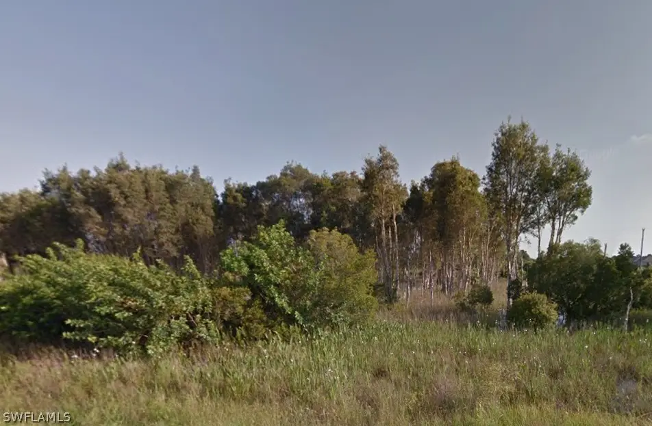 809 Alamo Street E, Lehigh Acres, FL 33974 - #1