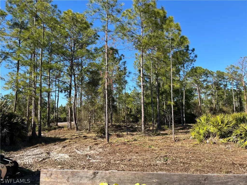 314 Spokane Avenue, Lehigh Acres, FL 33972 - #1