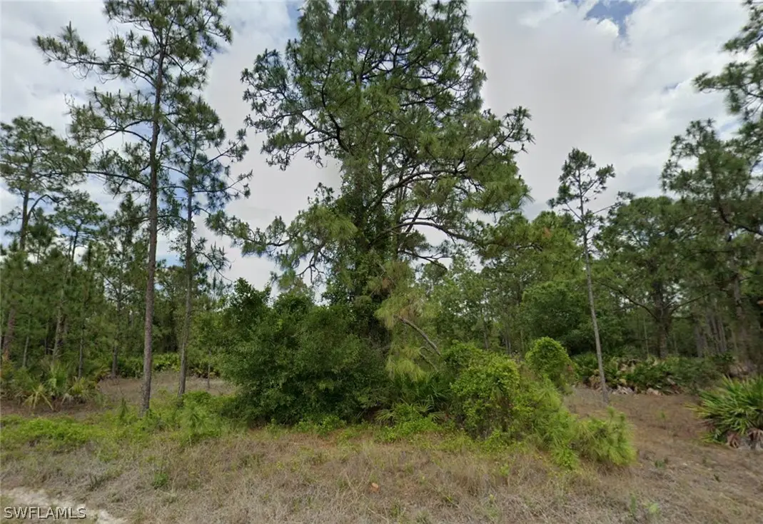 806 Canton Avenue, Lehigh Acres, FL 33972 - #1