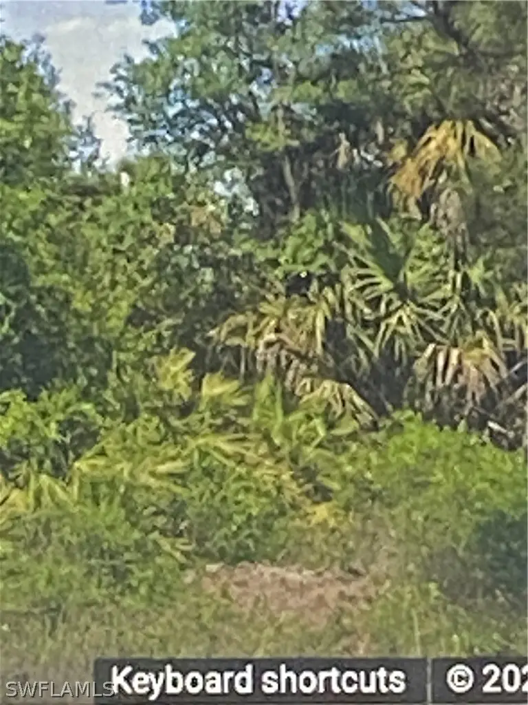 2601 54th Street W, Lehigh Acres, FL 33971 - #2