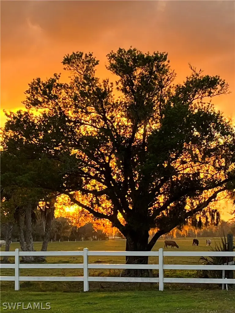 8201 Dosonte Lane, North Fort Myers, FL 33917 - #2