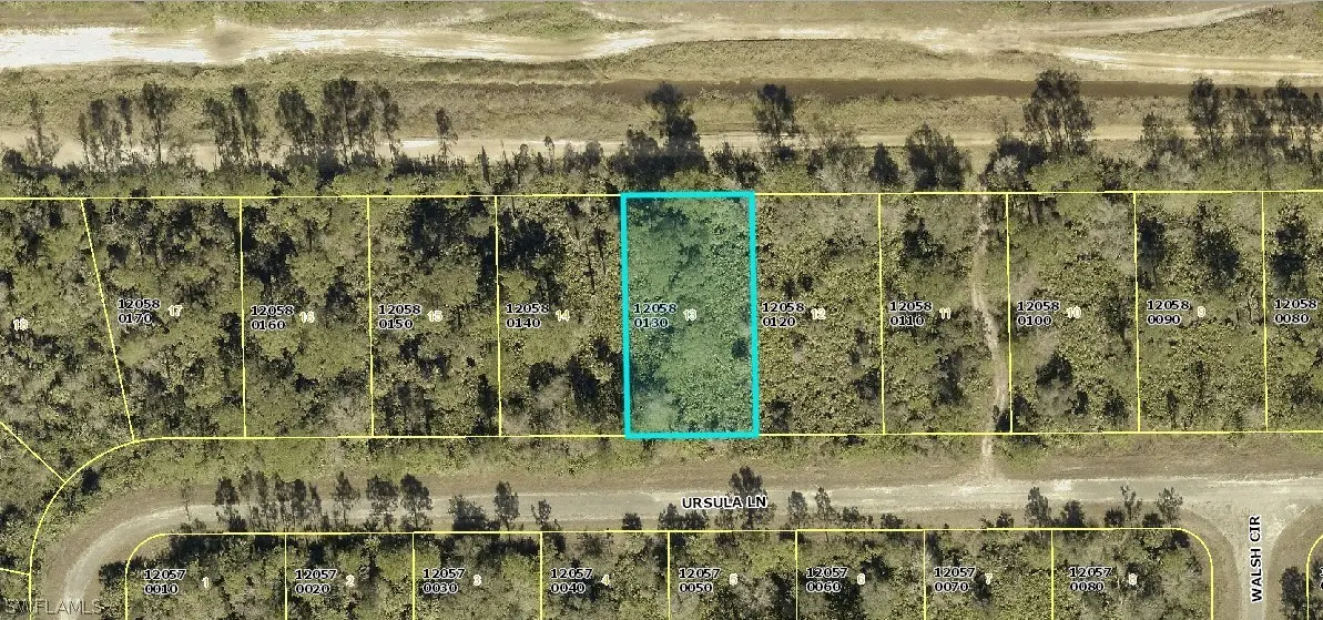 Address Withheld By Seller, Lehigh Acres, FL 33972 - #1