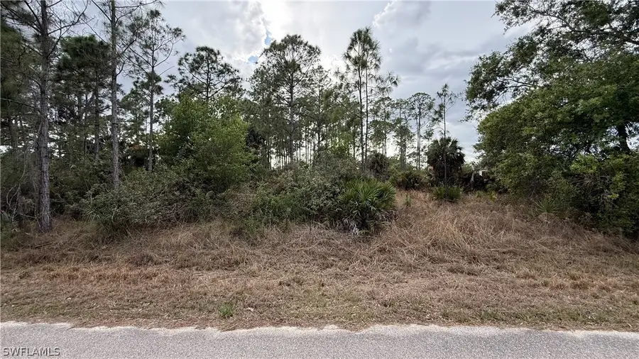 1103 Magnolia Avenue, Lehigh Acres, FL 33972 - #2