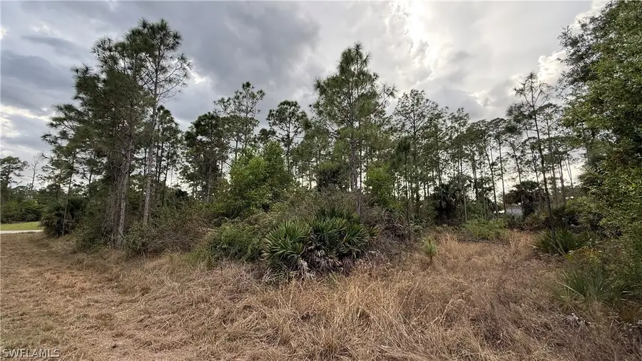 1103 Magnolia Avenue, Lehigh Acres, FL 33972 - #3