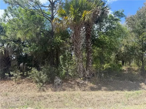 5905 Sally Avenue N, Lehigh Acres, FL 33971