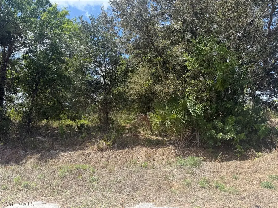 5905 Sally Avenue N, Lehigh Acres, FL 33971 - #2