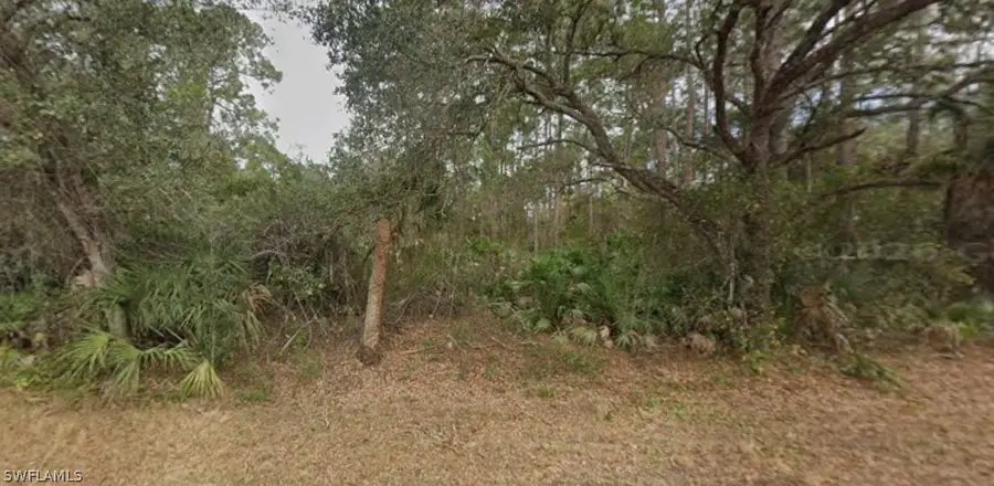 2004 Wells Avenue, Alva, FL 33920 - #3