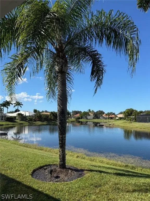 11723 Longshore Way E, Naples, FL 34119 - #3