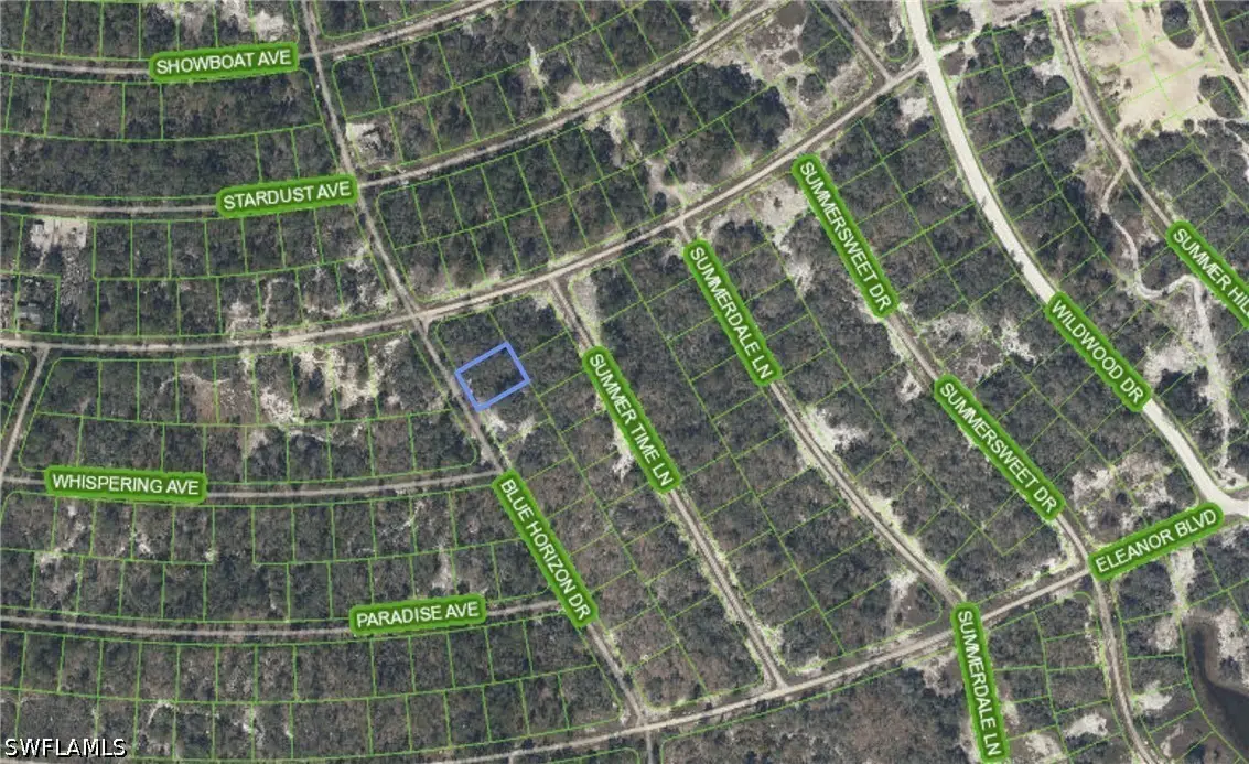 297 Blue Horizon Drive, Lake Placid, FL 33852 - #1