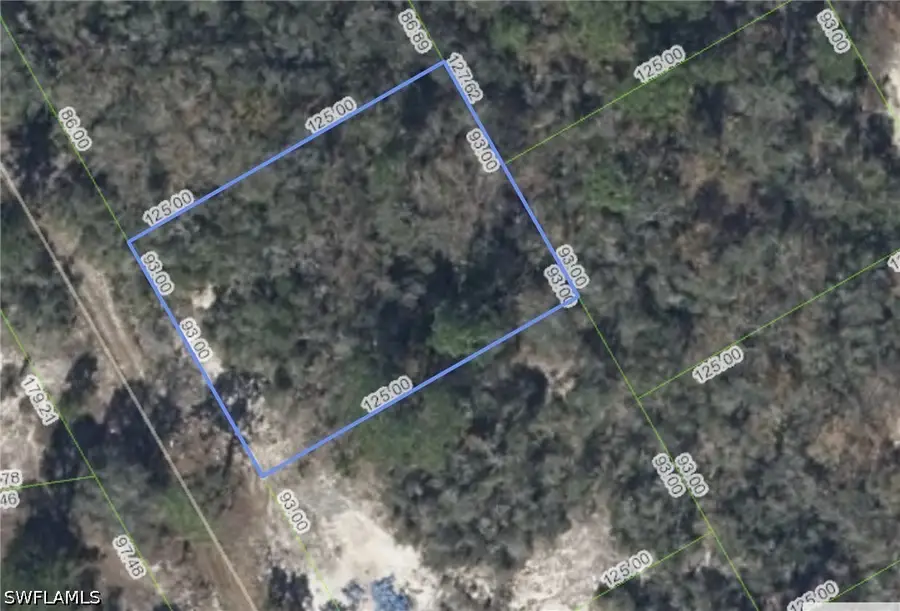 297 Blue Horizon Drive, Lake Placid, FL 33852 - #2
