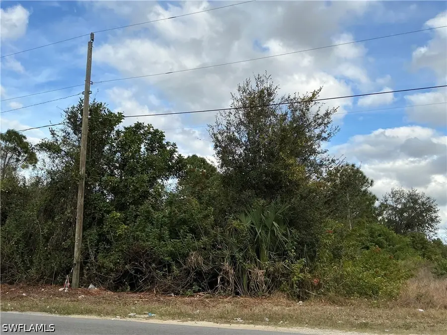 54 Gene Avenue S, Lehigh Acres, FL 33976 - #3