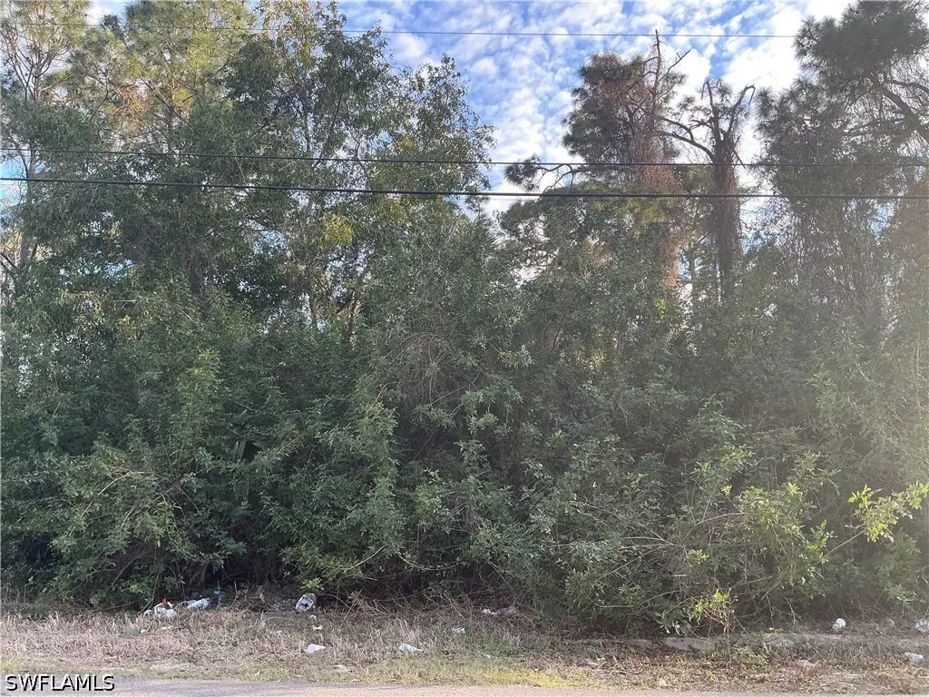 3811 4th Street W, Lehigh Acres, FL 33971 - #1