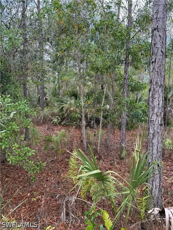 33rd Avenue Ne, Naples, FL 34120