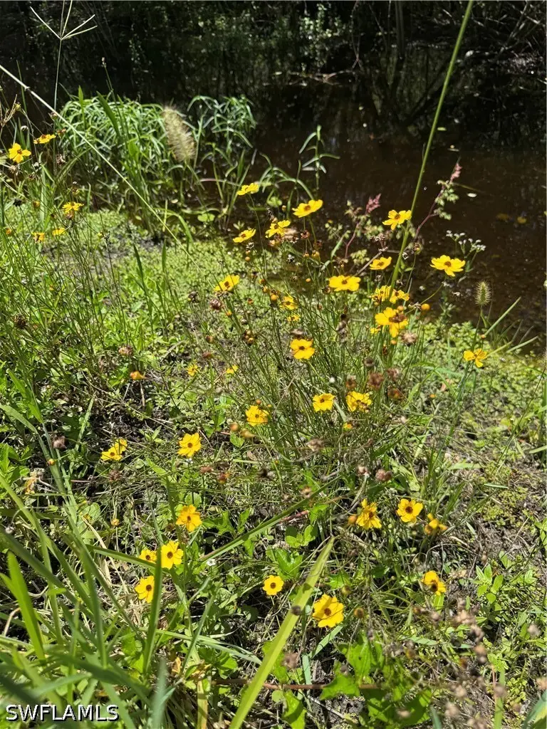 39th Avenue Ne, Naples, FL 34120 - #2