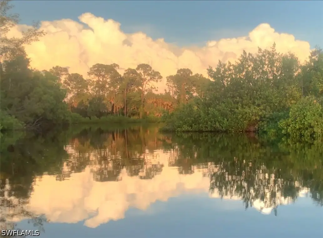 4021 Full Moon Court, Naples, FL 34112 - #1