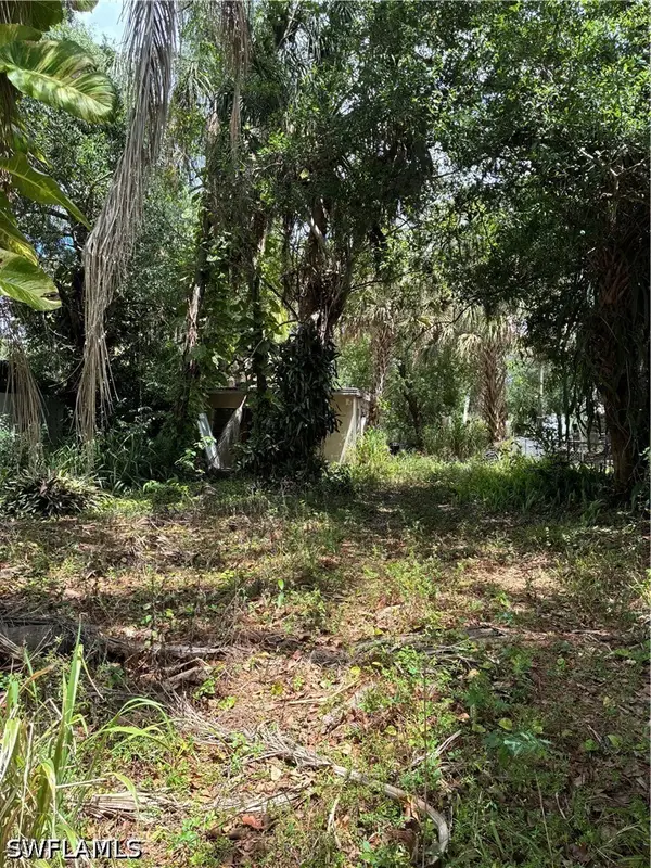 315 Buena Vista Boulevard, Fort Myers, FL 33905