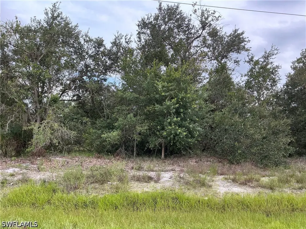 3502 48th Street W, Lehigh Acres, FL 33971 - #1