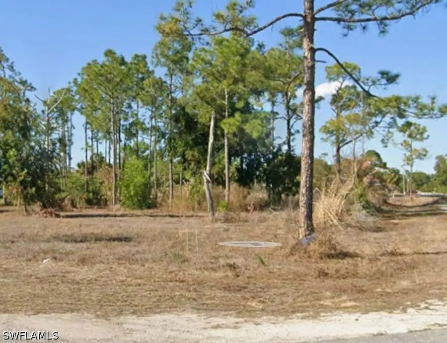 1201 Elaine Avenue N, Lehigh Acres, FL 33971 - #3