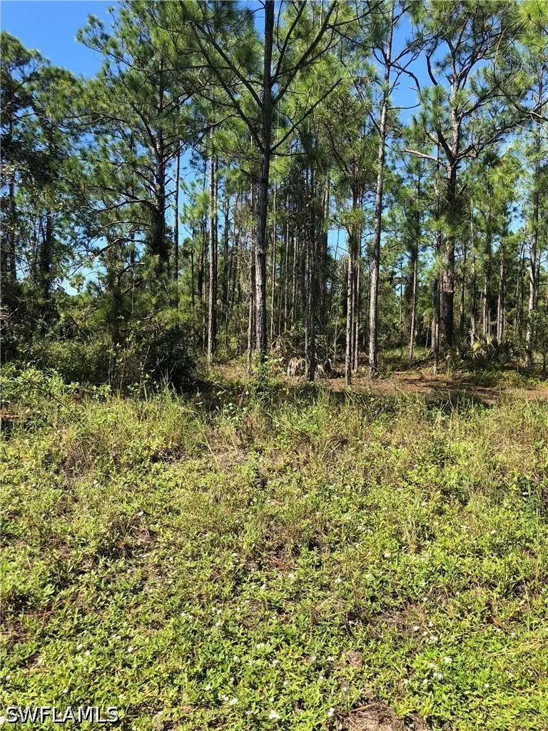 640 Naples Avenue S, Lehigh Acres, FL 33974 - #1