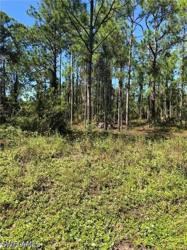 640 Naples Avenue S, Lehigh Acres, FL 33974