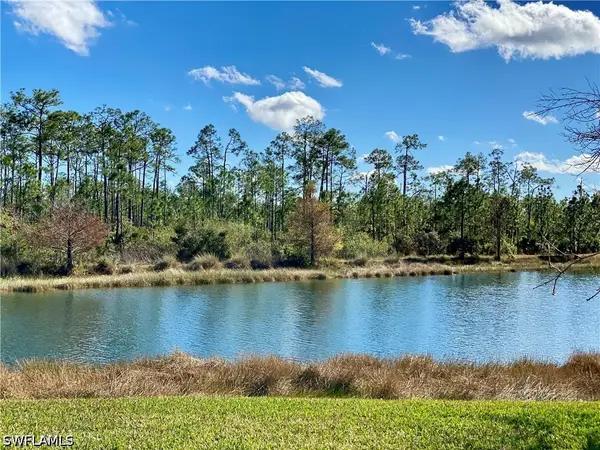 21718 Bella Terra Boulevard, Estero, FL 33928
