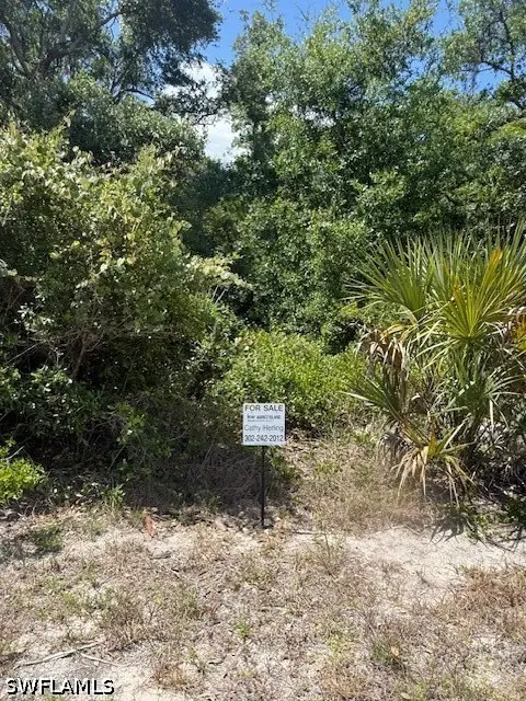 17191 Arthur Avenue, Port Charlotte, FL 33948 - #3