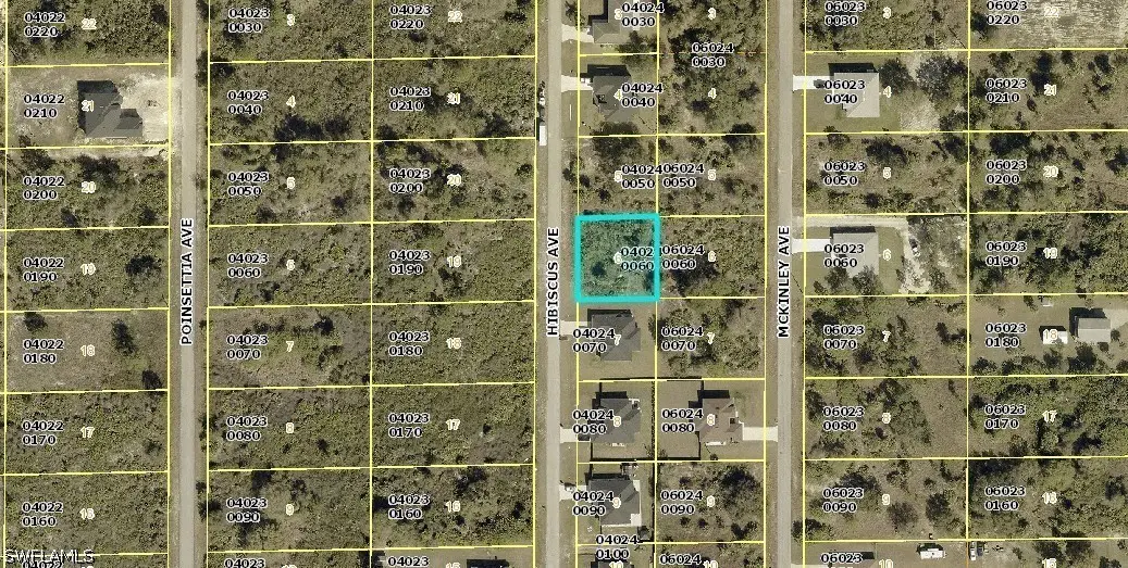 1312 Hibiscus Avenue, Lehigh Acres, FL 33972 - #1