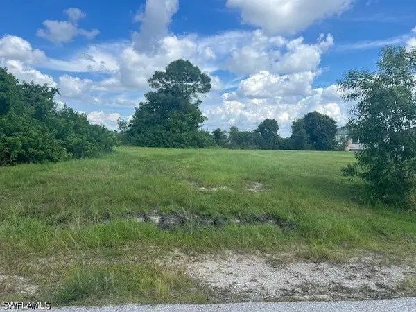 1317 NW 3rd Place, Cape Coral, FL 33993