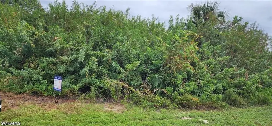 305 Rand Avenue, Lehigh Acres, FL 33974 - #2