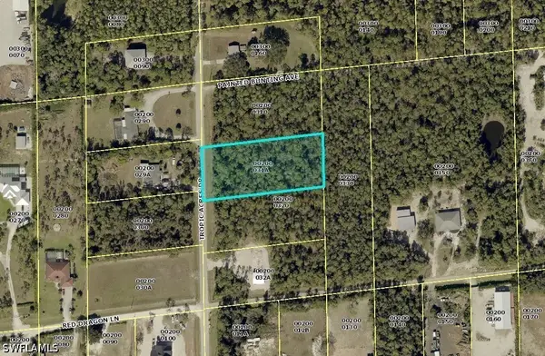 25785 Tropic Acres Drive, Bonita Springs, FL 34135
