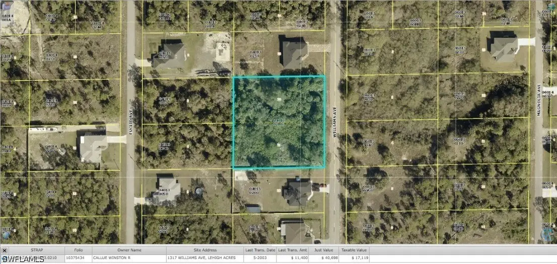 1317 Williams Avenue, Lehigh Acres, FL 33972 - #1