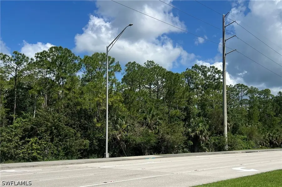 XXX Immokalee Road, Naples, FL 34120 - #2