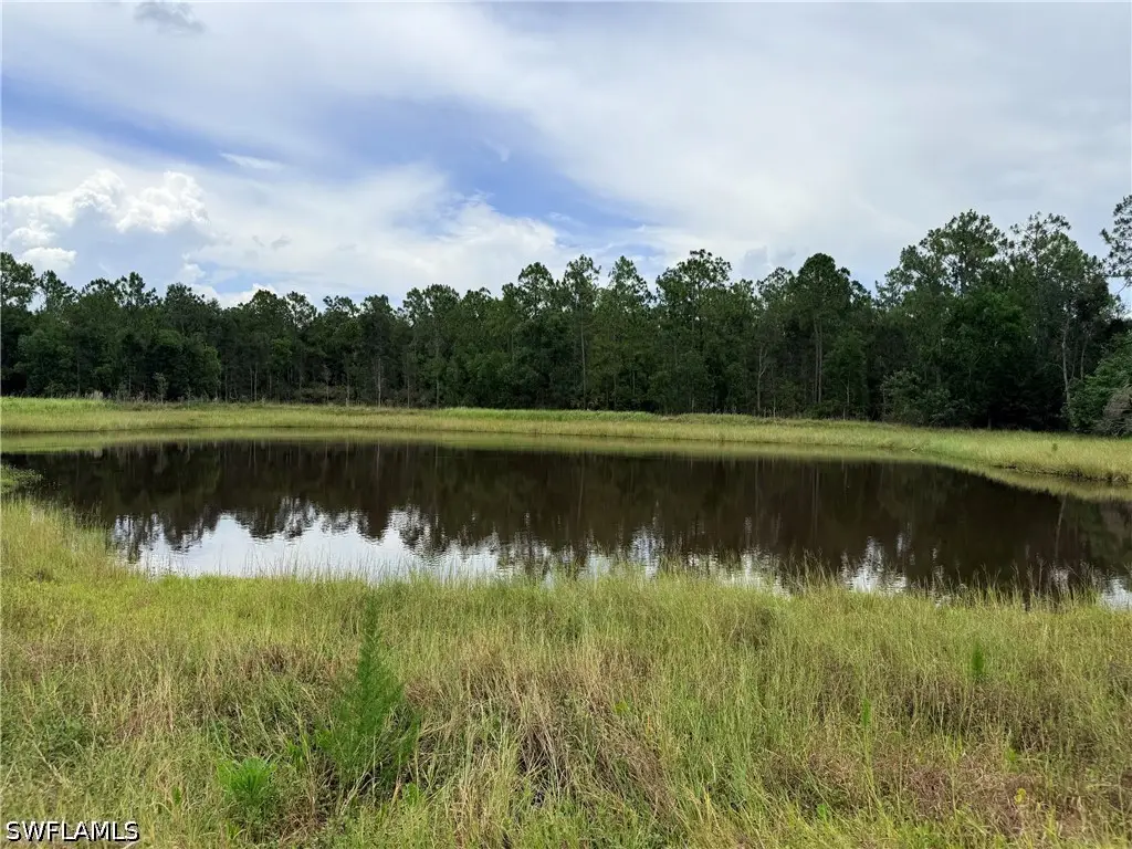 925 Purple Martin Drive, Naples, FL 34120 - #1