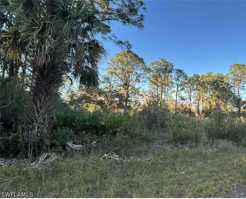 1945 Roderick Lane, Lehigh Acres, FL 33972 - #1