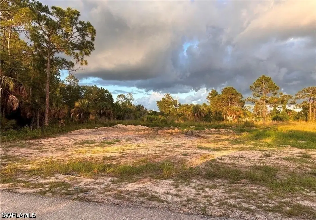 2914 Elaine Avenue N, Lehigh Acres, FL 33971 - #1