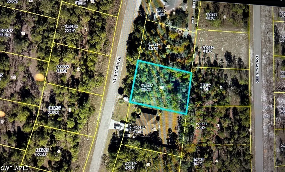 823 Gillian Avenue, Lehigh Acres, FL 33974 - #1