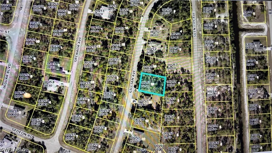 823 Gillian Avenue, Lehigh Acres, FL 33974 - #2